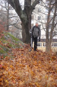 Föreningens egen startbild